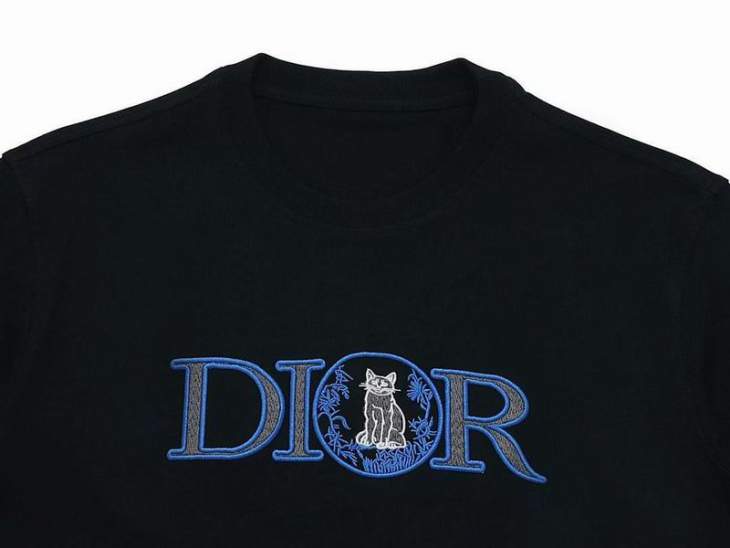 Dior T Shirts Short _SKUDiorS-XL8qx0415803